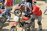 IMG_0308