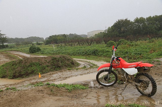 IMG 0112