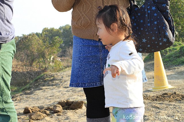 IMG 0380