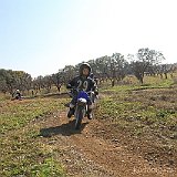 IMG 0111