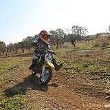 IMG 0112
