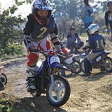 IMG 0229