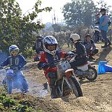 IMG 0232