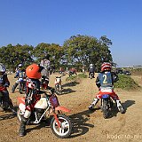 IMG 0247
