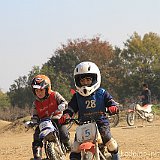 IMG 0251
