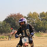 IMG 0252