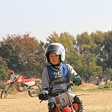 IMG 0255