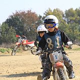 IMG 0259