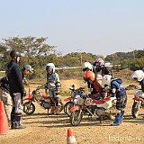 IMG 0263