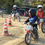 IMG 0394