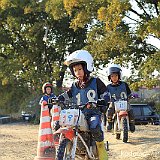 IMG 0397