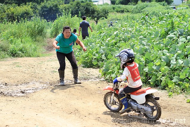 IMG 0229
