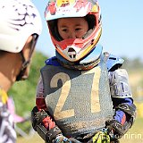 IMG 0181