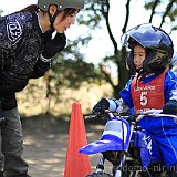IMG 0208