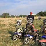 IMG 0314
