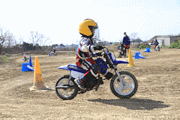 �ʐ^����128