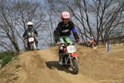 �ʐ^����135