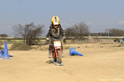 �ʐ^����141