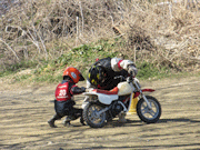 �ʐ^����44