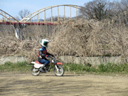 �ʐ^����46