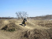 �ʐ^����50