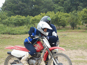 �ʐ^����36