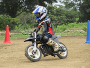 �ʐ^����65