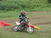 �ʐ^����81