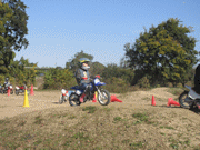 �ʐ^����61