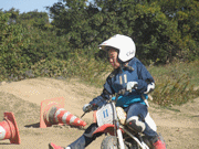 �ʐ^����81
