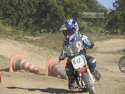 �ʐ^����82