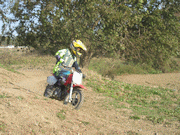 �ʐ^����110
