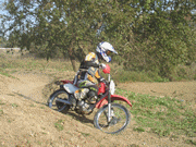 �ʐ^����111