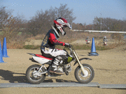 �ʐ^����79