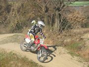 �ʐ^����85