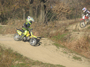 �ʐ^����86