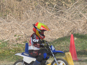 �ʐ^����91