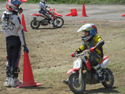 �ʐ^����73
