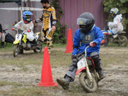 �ʐ^����32
