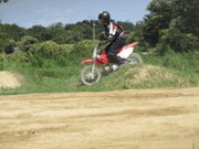 �ʐ^����40