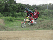 �ʐ^����33